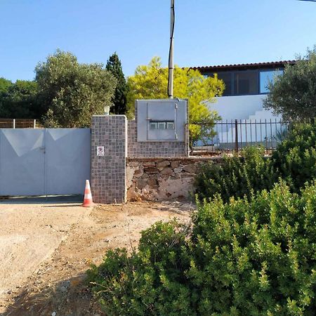 Cap Sounion Seafront Apartments -Adults Only المظهر الخارجي الصورة