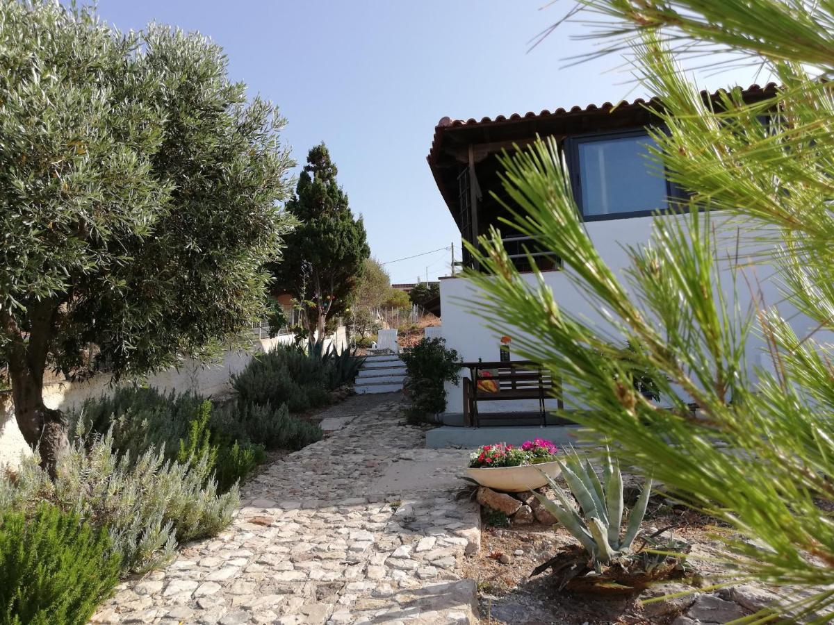Cap Sounion Seafront Apartments -Adults Only المظهر الخارجي الصورة