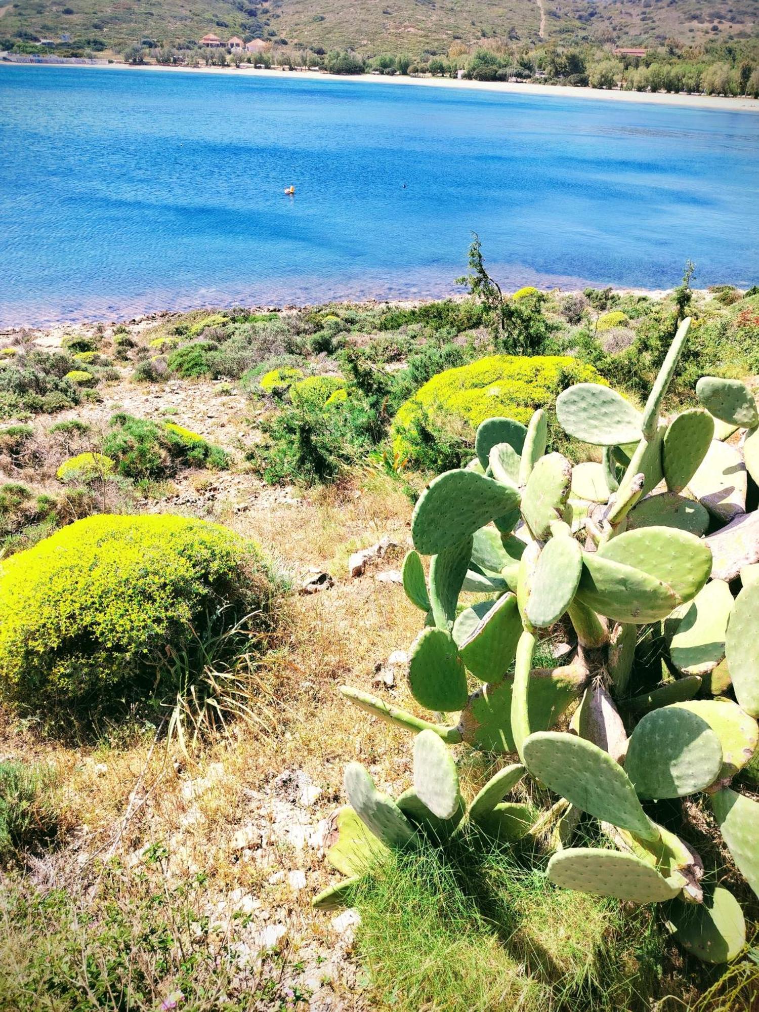Cap Sounion Seafront Apartments -Adults Only المظهر الخارجي الصورة
