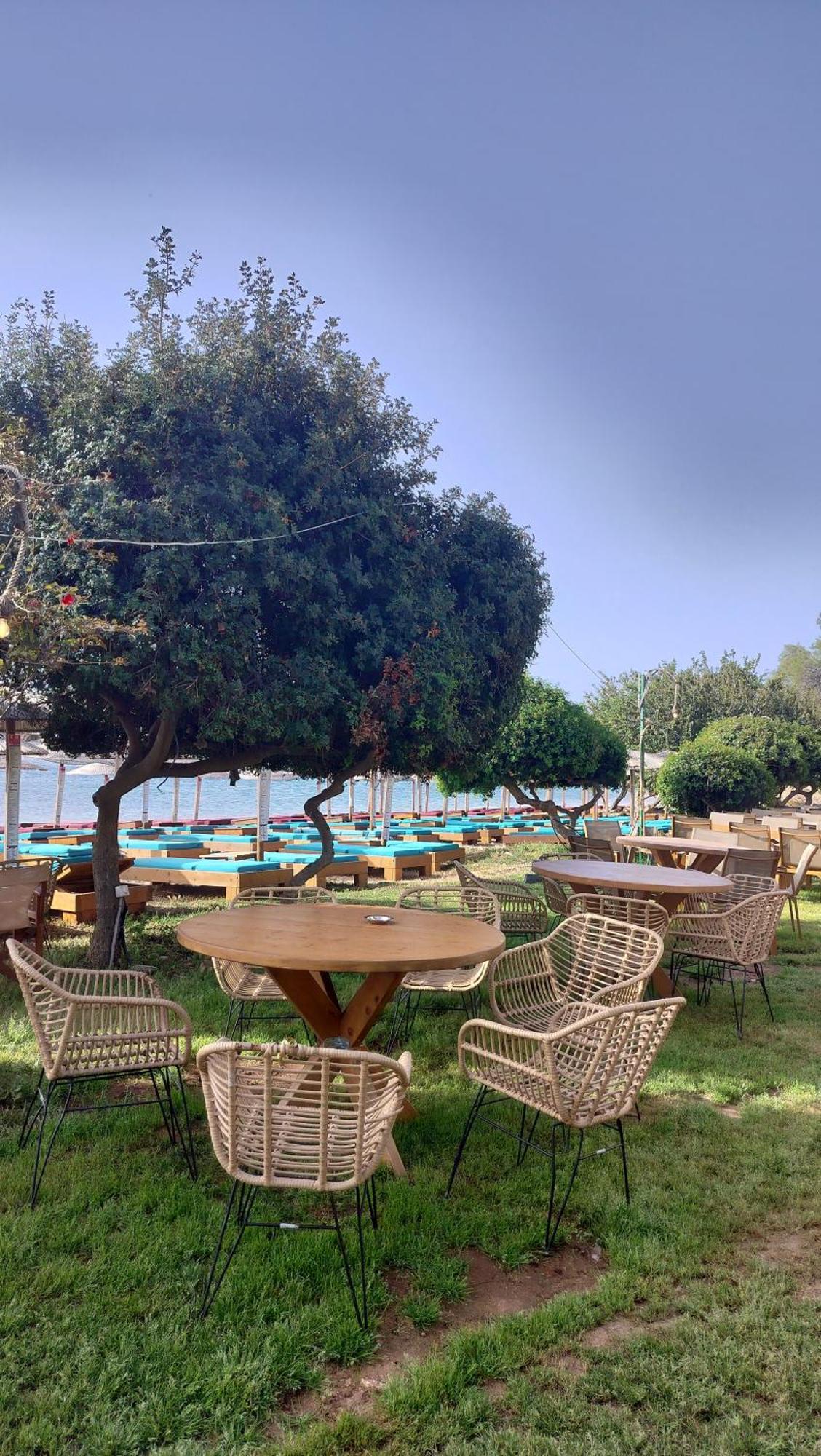 Cap Sounion Seafront Apartments -Adults Only المظهر الخارجي الصورة