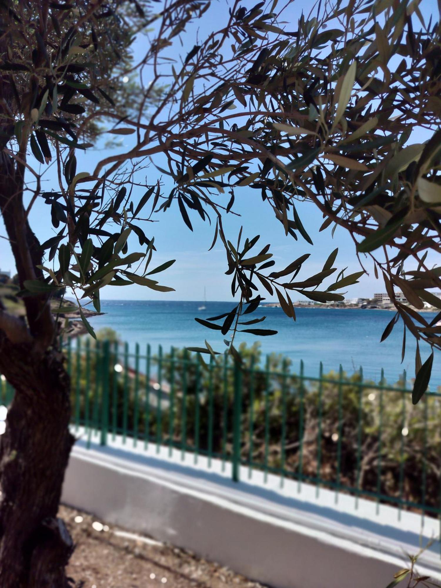 Cap Sounion Seafront Apartments -Adults Only المظهر الخارجي الصورة