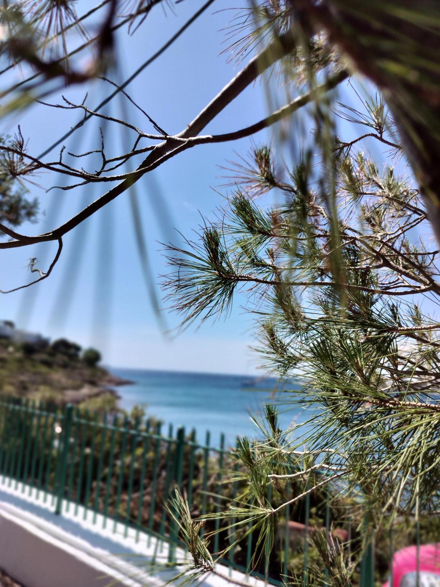 Cap Sounion Seafront Apartments -Adults Only المظهر الخارجي الصورة